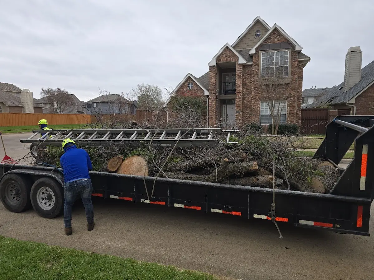 Expert Tree Pest Control with proper safety equipment in Hubbard